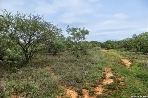 Unrestricted Land Near Floresville, TX