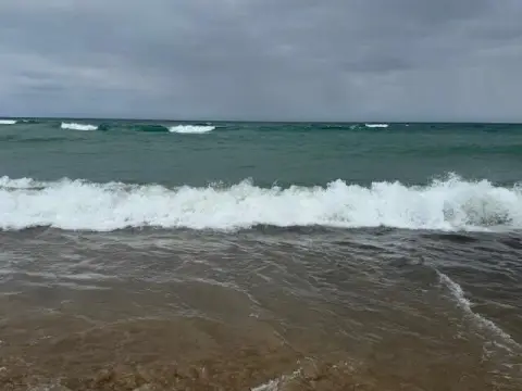 Lake Michigan Land with Septic