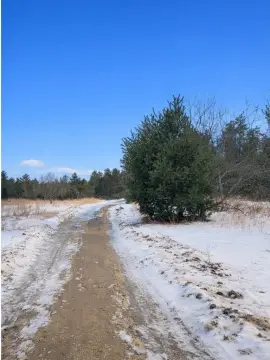 7.9 Acres Buildable Parcel