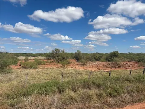 Fenced Native Grassland