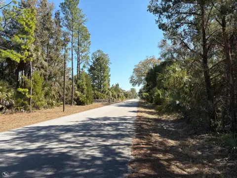 Land Near Cedar Key Coasts