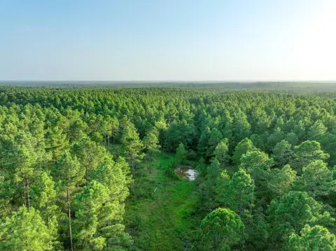 Hunting Land with Established Trails