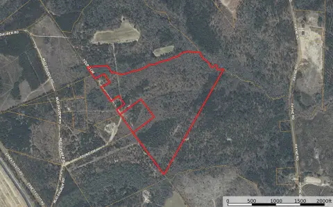 Timbered Hunting Land With Cabin