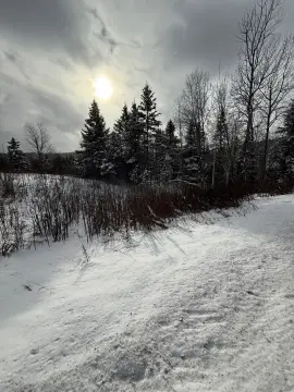 Danville, VT 11.3 Acre Lot