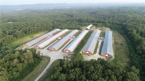 Northwest Georgia Poultry Farm