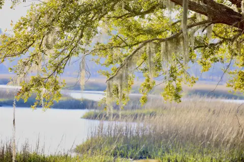 Waterfront Land with Private Dock