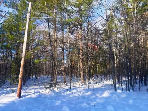 Wooded Double Lot in Presque Isle
