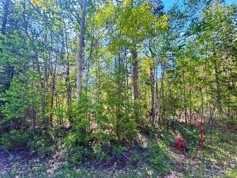 Wooded Residential Lot in Association