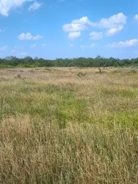 Wortham, TX Land For Sale