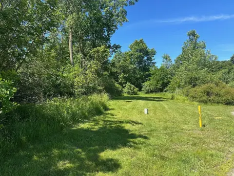 Residential Lot in New Buffalo