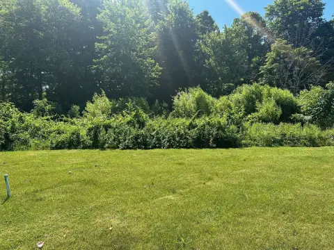 Residential Lot in New Buffalo