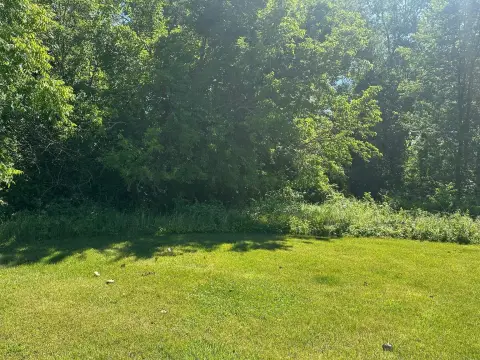 Residential Lot in New Buffalo