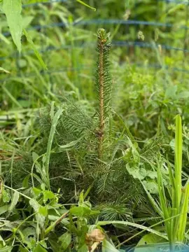 56 Acres Vacant Land Available