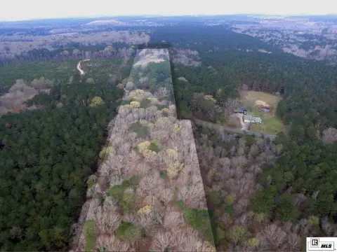 Unrestricted Timber Land with Internal Trails