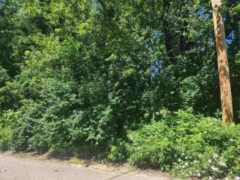 Wooded Lot Near College