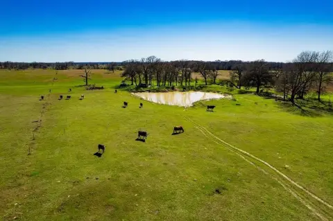 Kemp, TX Unimproved 10-Acre Land