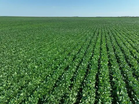 Farmland Offered in Six Parcels