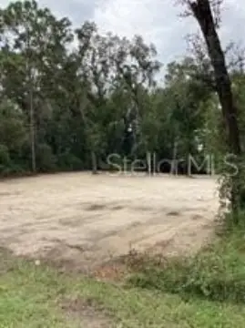 Land For Sale in Webster