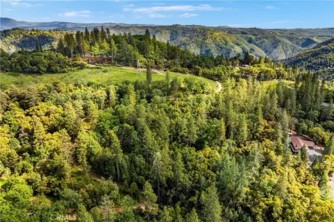 Pine Grove Land For Sale