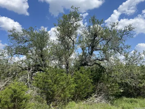 Scenic Hill Country Land Opportunity