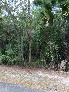 Waterfront Land Parcel