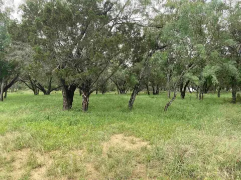 Residential Lot in Cottonwood Shores