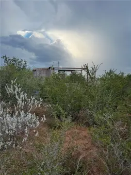 Hunting Land with High Fencing
