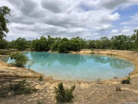 Poteet Land with Pond