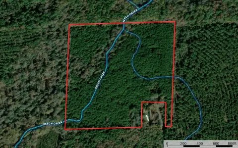 Hunting Land with Creek