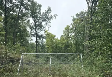 Managed Forest Hunting Land