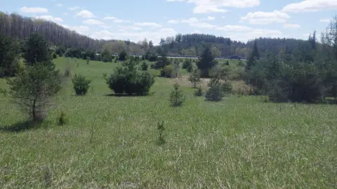 Land with White Pine Frontage