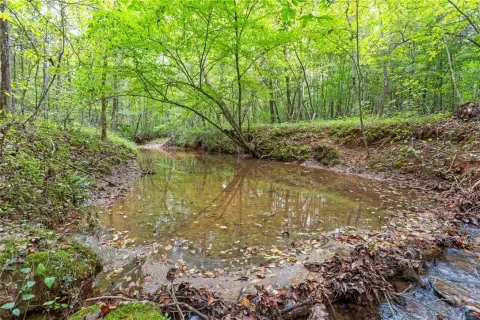 Fair Play Wooded Land