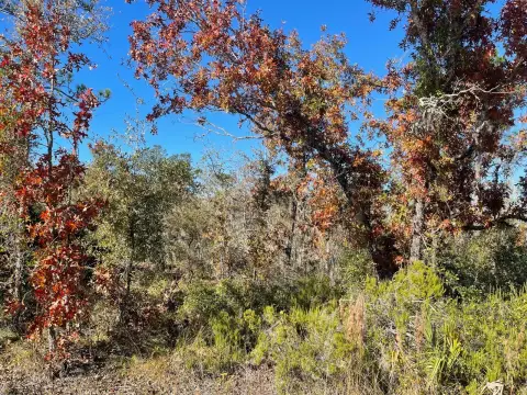 Perry, FL Vacant Land Parcel