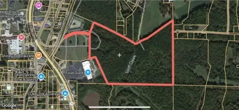 Ripley Land with Timber