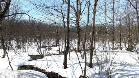 Lorraine, NY Wooded Acreage