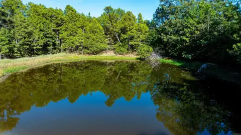 Hunting Land with Pond