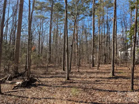 Residential Land in Rock Hill