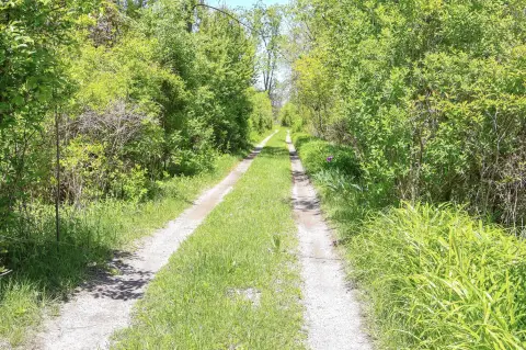 Three Oaks Commercial Land Parcel