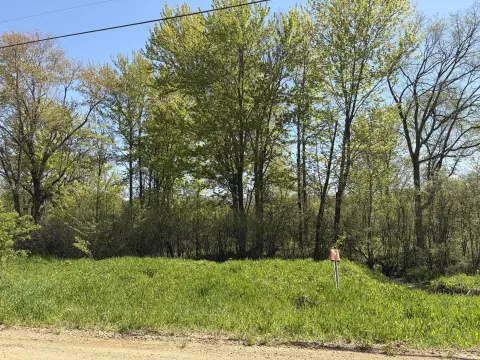 Wooded Parcel in Paw Paw