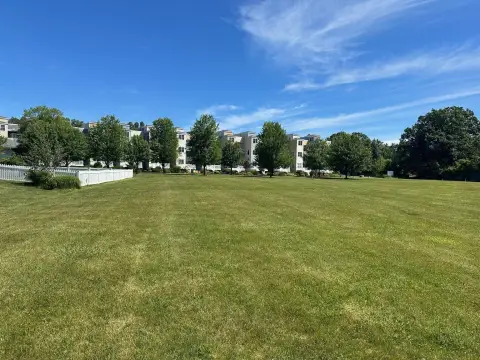 Residential Lot in New Buffalo