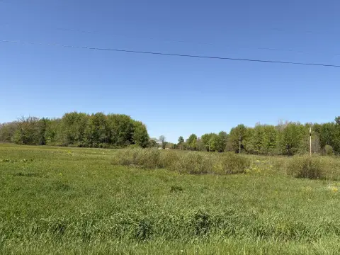 Paw Paw Buildable Land Parcel