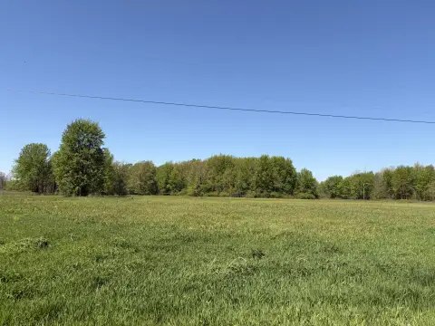 Paw Paw Land For Sale