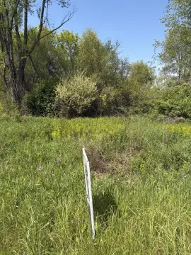 Residential Land in Plainwell, MI