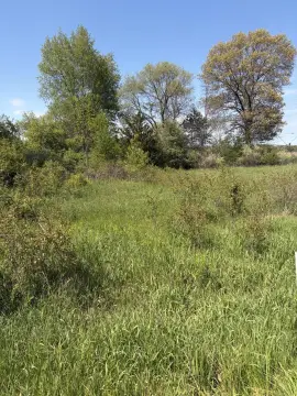 Buildable Lot in Plainwell, MI