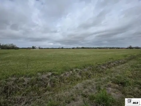 Open Pasture Acreage with Dual Road Frontage