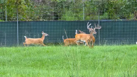 Alabama Hunting Sanctuary and Estate