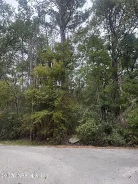 Starke, FL Wooded Lot