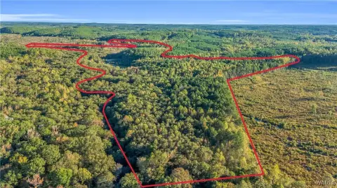 Recreational Land Near Vernon, Alabama