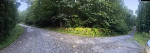 Land in Ranger, Georgia