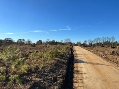 Vacant Land Near Batesburg-Leesville